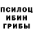 Псилоцибиновые грибы мухоморы DarkVedmak