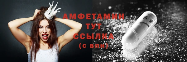 шишки Каменка