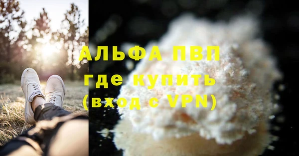 шишки Каменка