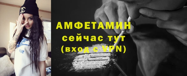 шишки Каменка