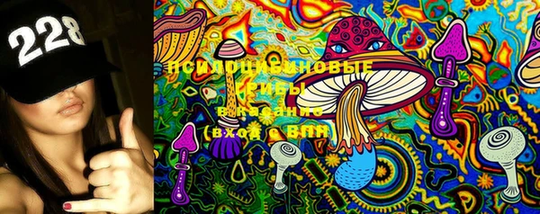 шишки Каменка