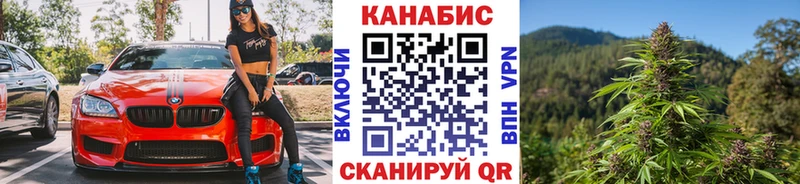Бошки Шишки SATIVA & INDICA  Купить где  Буинск 